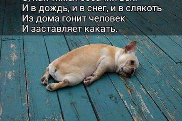 Актуальная ссылка на кракен kraken014 com